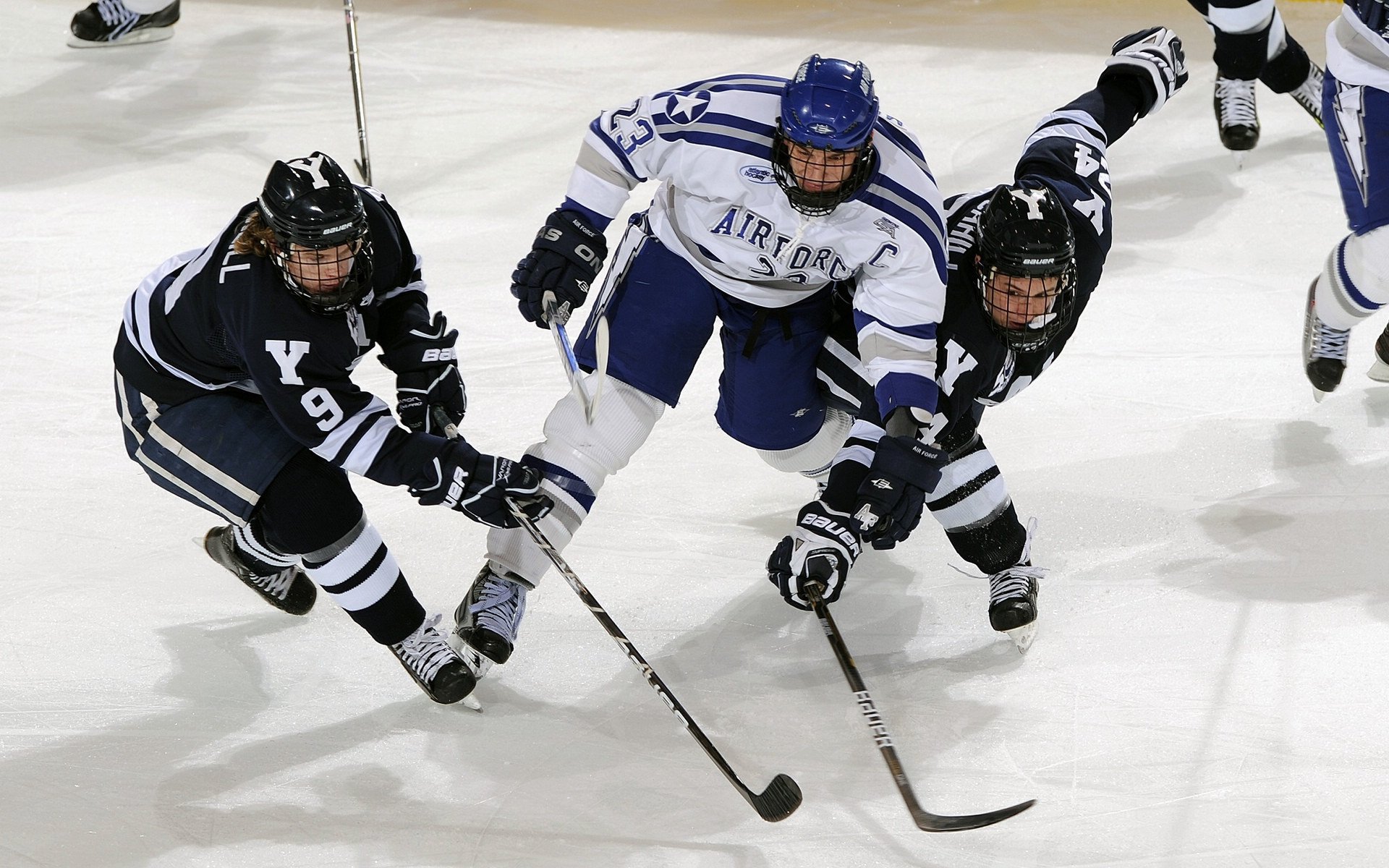英国队泳姿优雅，技术细腻引关注，英国游泳队队员